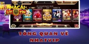 Nhatvip là sảnh cá cược trực tuyến hay nhất